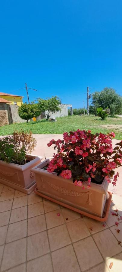 B & B Le Tre Rose Tollo 外观 照片
